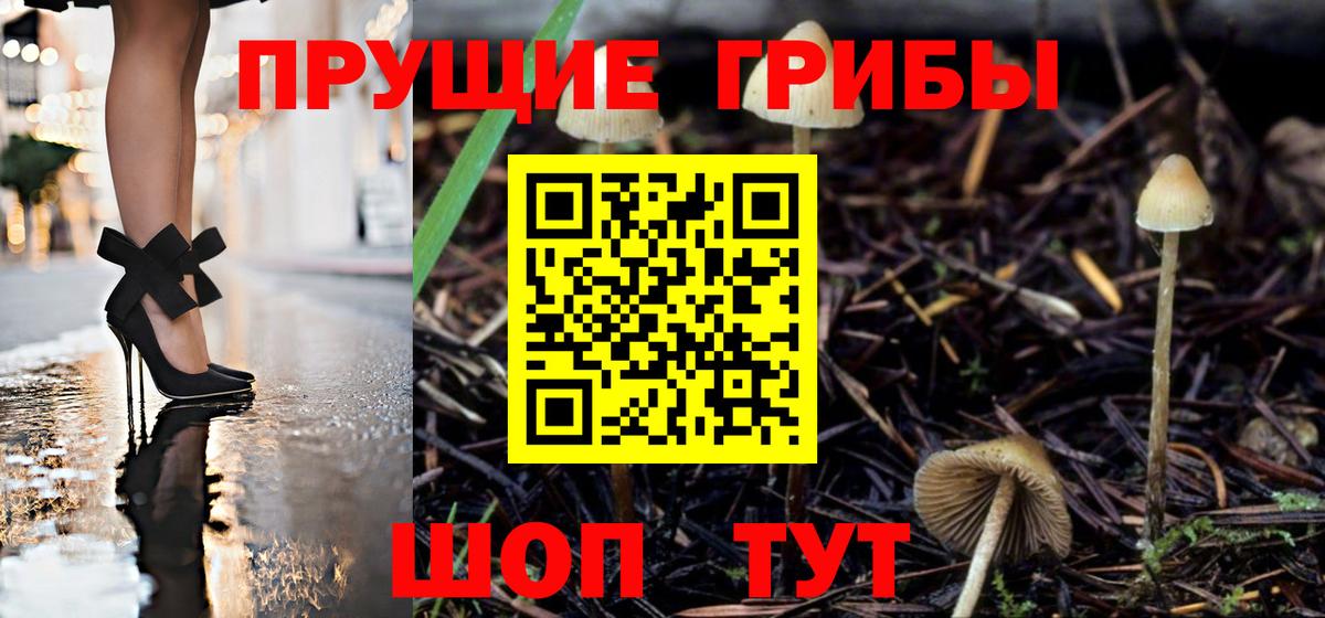 Псилоцибиновые грибы мицелий  Галлюциногенные грибы ЛСД  Вход с VPN  Россия 